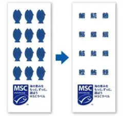 MSCオリジナル　魚の漢字が出てくるタオル — image 1