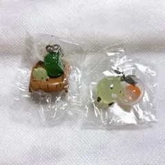 新品未使用　モリゾーとキッコロ　めじるしアクセサリー　2点セット — image 1