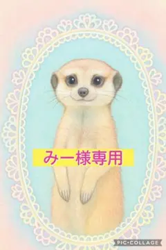 みー様専用 — image 1