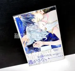 「貢ぎ物は冷血領主に運命を捧げる 1」 石原 ケイコ — image 1