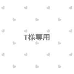 T様専用 — image 1