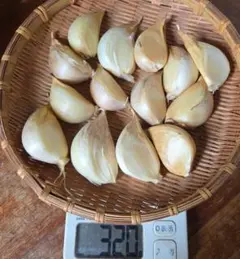 ジャンボニンニク ばら300g — image 1