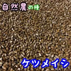 ケツメイシ — image 1