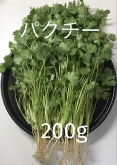 パクチー 香菜 コリアンダー 200g — image 1