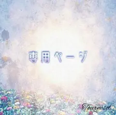 ୨୧ Sattyann 100様 専用ページ୨୧ — image 1