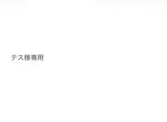 テス様専用 — image 1