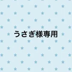 うさぎ様専用 — image 1