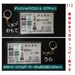 【カラーコピー馬券】オークス馬ジュウリョクピエロ＆ダービー勝ロブチェン２枚セット — image 1