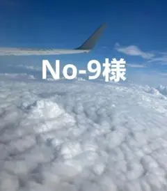 No-9様 — image 1