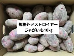 終了直前！長崎県産規格外デストロイヤーじゃがいも10㎏ — image 1
