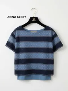 Anna Kerry アンナケリー 総レース ボーダー カットソー ブルー 38 — image 1