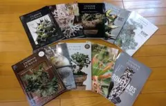 植物雑誌 INDOOR JUNGLE 10冊コンプリートセット — image 1