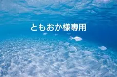 ともおか様専用 — image 1