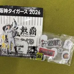 阪神タイガース 大山悠輔 グッズ — image 1