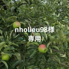 nholieu98様専用 — image 1