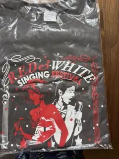 桑田佳祐AAA2008「ひとり紅白歌合戦」ライブTシャツグレーS 未開封 — image 1