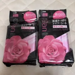 Ban シャワーシート 2個セット フェアリーフローラル — image 1