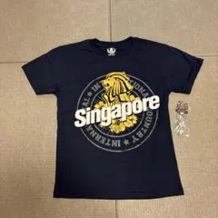 シンガポール マーライオン Tシャツとキーチェーンセット — image 1