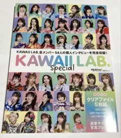 日経エンタテイメント！KAWAII LAB. special — image 1