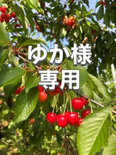 ゆか様　専用 — image 1