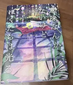 意味なんかないけど僕たちは光る — image 1
