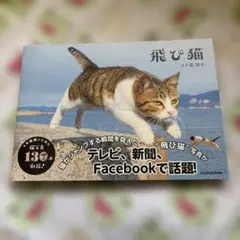 飛び猫　猫写真集 — image 1