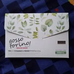 ゴッソトリノ grosso torino! マウスウォッシュ240ml 30包 — image 1