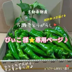 ぴぃこ様⭐️専用ページ♪ — image 1
