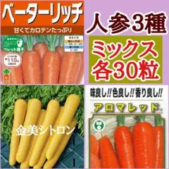 ❣️ミックス❣️人参種３種各30粒で合計90粒♡2026年３月購入種 — image 1