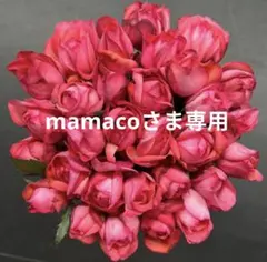 mamacoさま専用 — image 1