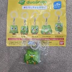 Duolingo めじるしアクセサリー シワシワデュオ — image 1