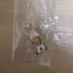 こびとづかん めじるしフレンズ シボリオオチチ — image 1