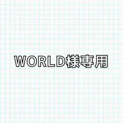 WORLD様専用 — image 1