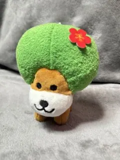 新品未使用品　サンエックスユニバース アフロ犬 ハイビスカス マスコット　タグ付 — image 1