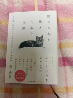 捨てられた僕と母猫と奇跡 : 心に傷を負った二人が新たに見つけた居場所 — image 1