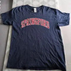 BUDDYオリジナル SPRINGFORD Tシャツ ネイビー Lサイズ — image 1