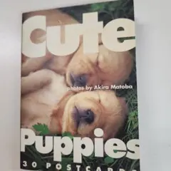 ポストカード　的場章　犬　30枚　写真集 — image 1