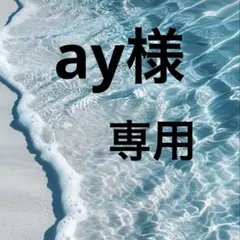 ay様専用 — image 1