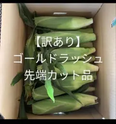 7/6発送分5【訳あり】先端カット品最低16本 — image 1
