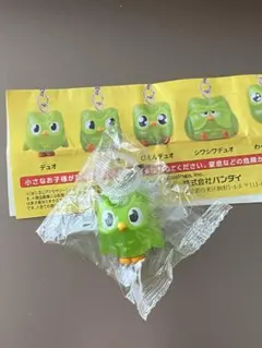 duolingo　めじるしアクセサリー　デュオ — image 1