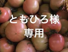 ともひろ様　専用　平日着 — image 1