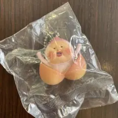 こびとづかん カクレモモジリコレクション ぱっかん ガチャ カプセルトイ — image 1