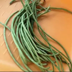 農薬不使用　ささげ 500g — image 1