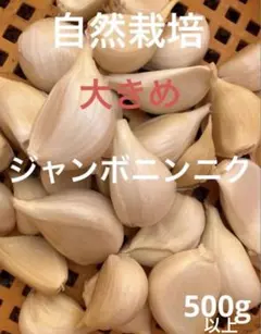 残りラスト！ジャンボニンニク自然栽培　大きめ　500g 送料込み — image 1