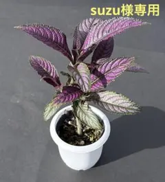 suzu様 リクエスト 2点 まとめ商品 — image 1