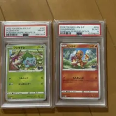 フシギダネ：ポケモン GO プロモカード ギフトキャンペーン PROMO 2枚 — image 1