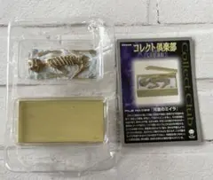 コレクト倶楽部 七不思議編 河童のミイラ フィギュア — image 1