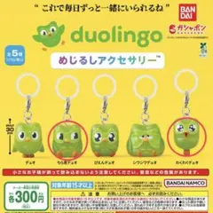 Duolingo めじるしアクセサリー 2種セット — image 1