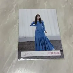 櫻坂46 向井純葉　生写真「Lonesome rabbit」MV衣装 — image 1