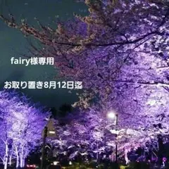 fairy様専用 — image 1